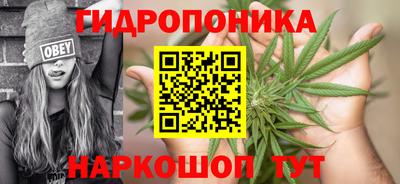 прущие грибы Будённовск