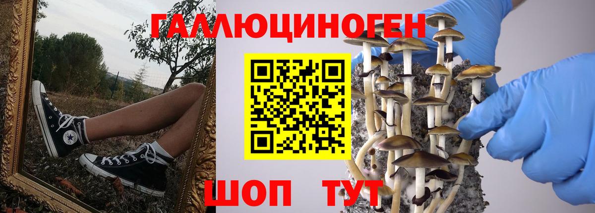Псилоцибиновые грибы ЛСД Феодосия